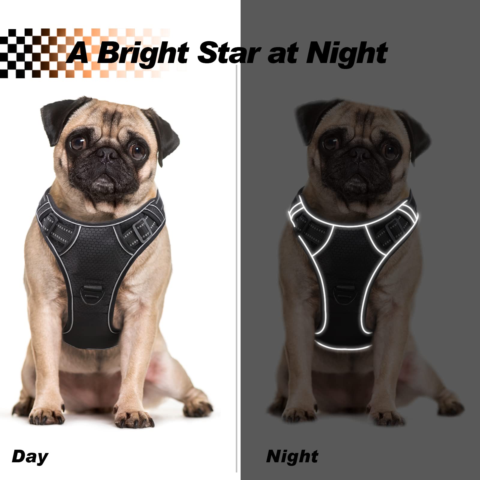 Black Reflective Harness