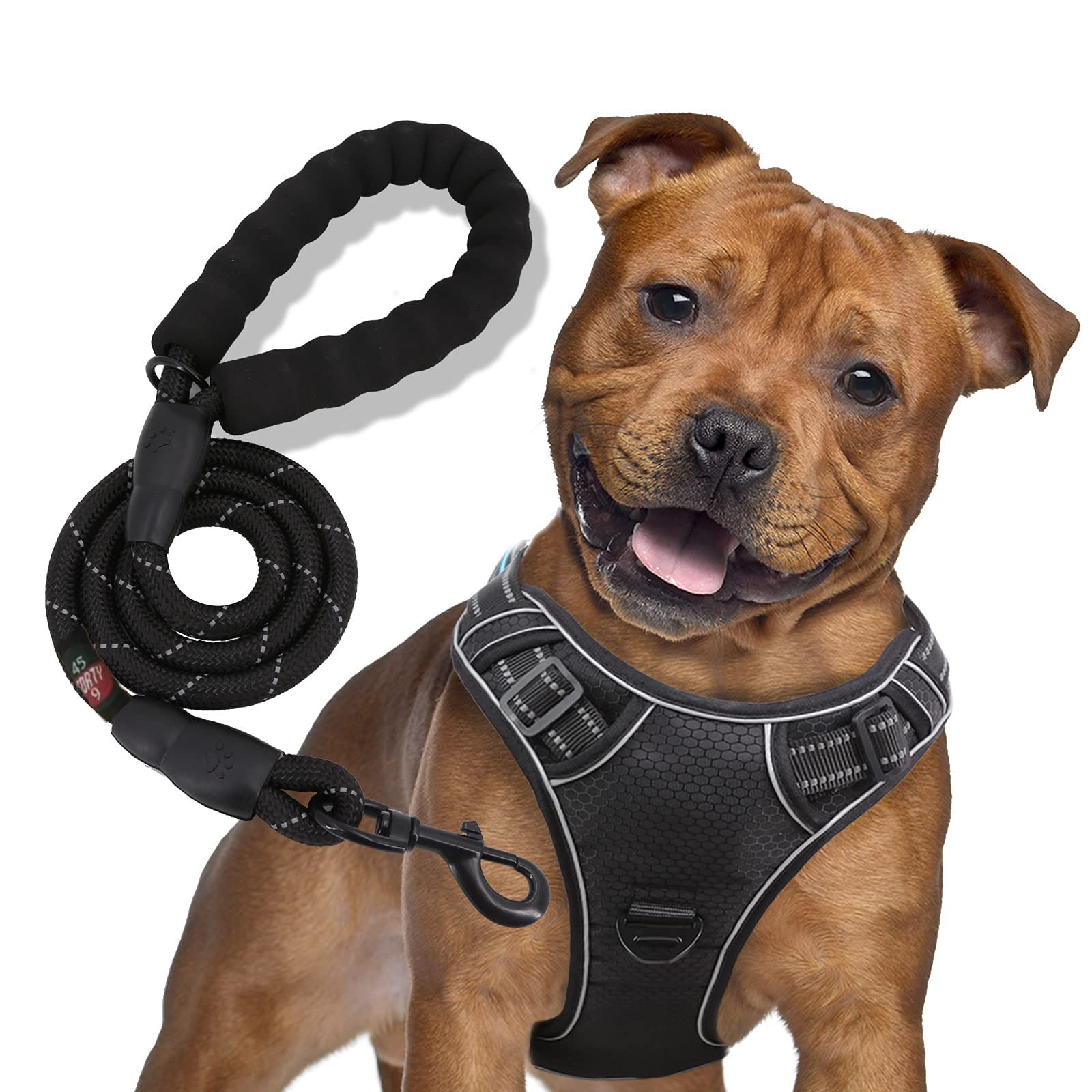 Black Reflective Harness