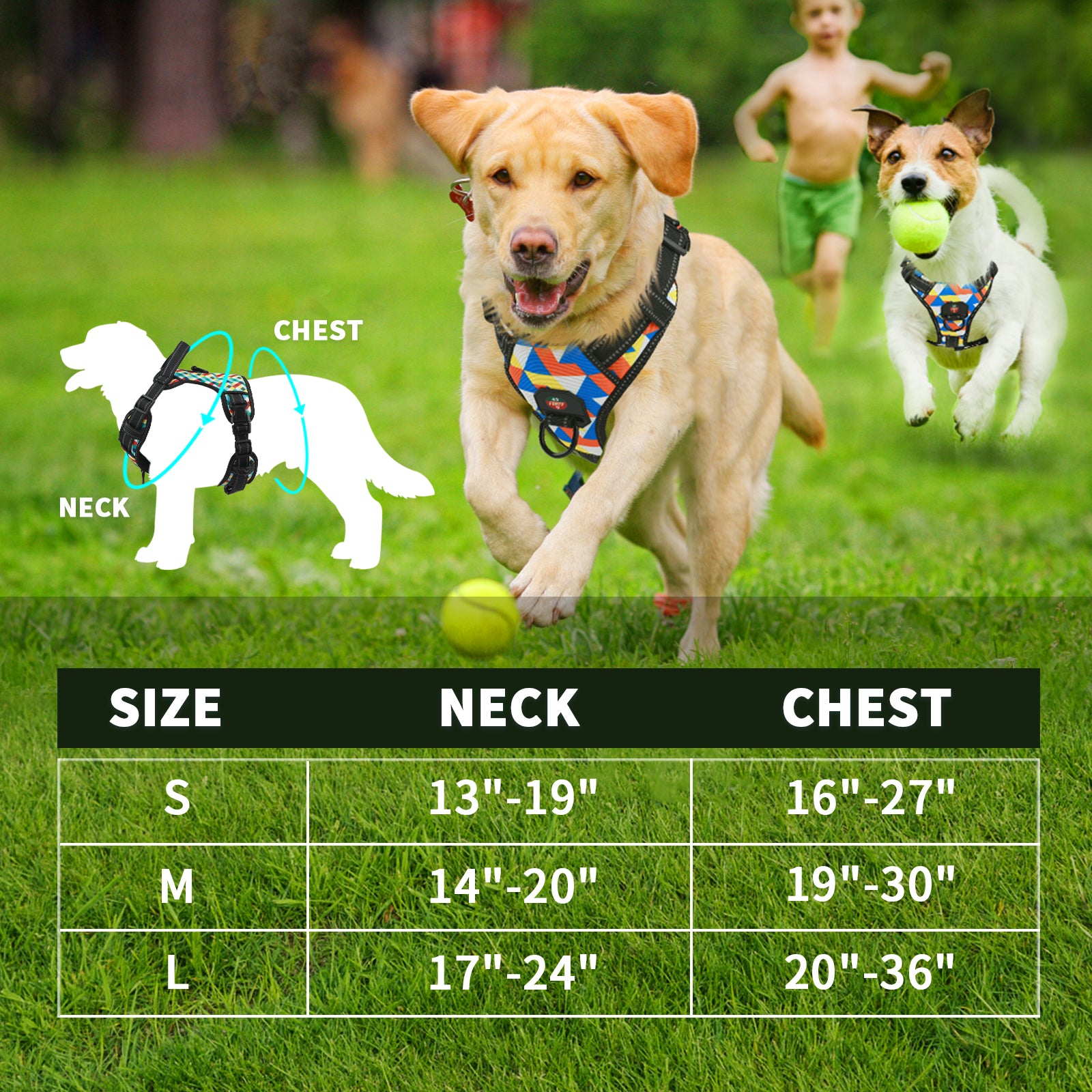 Large Reflective Harness- Lucia