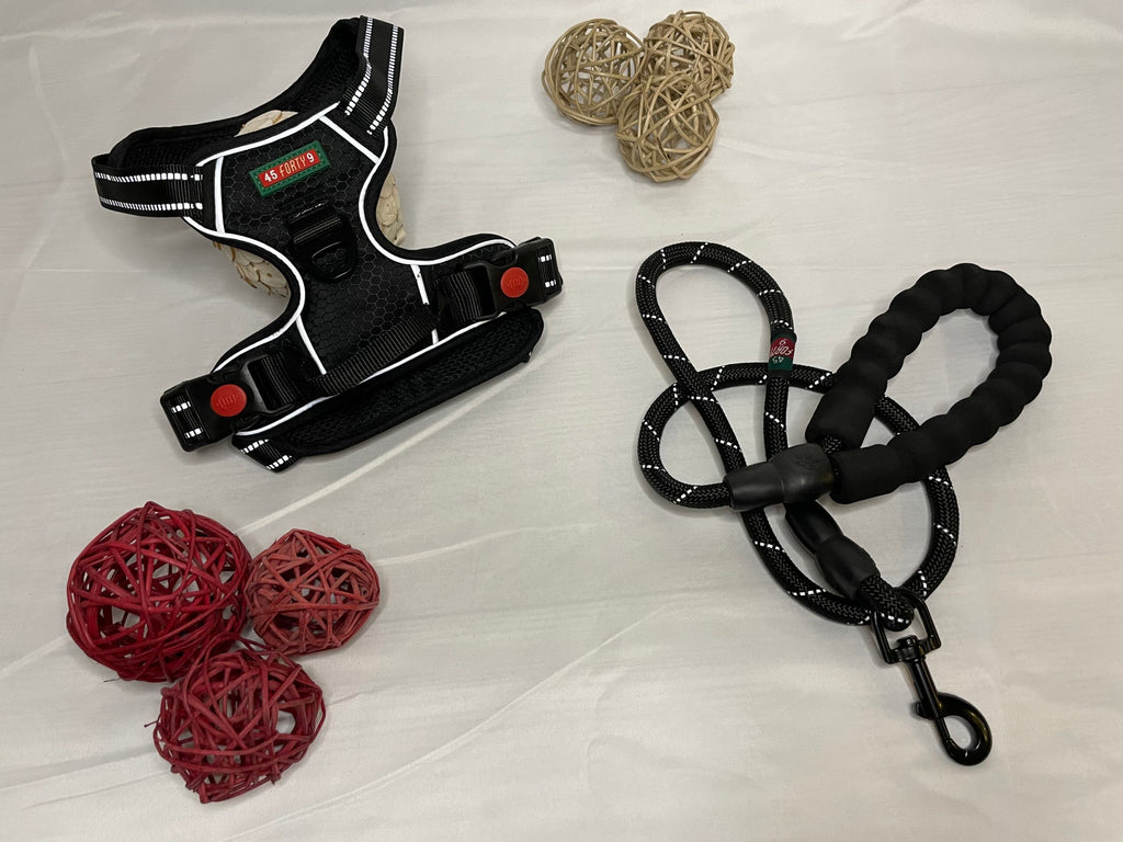Black Reflective Harness
