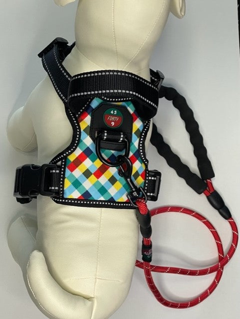 Reflective Harness- Olympic