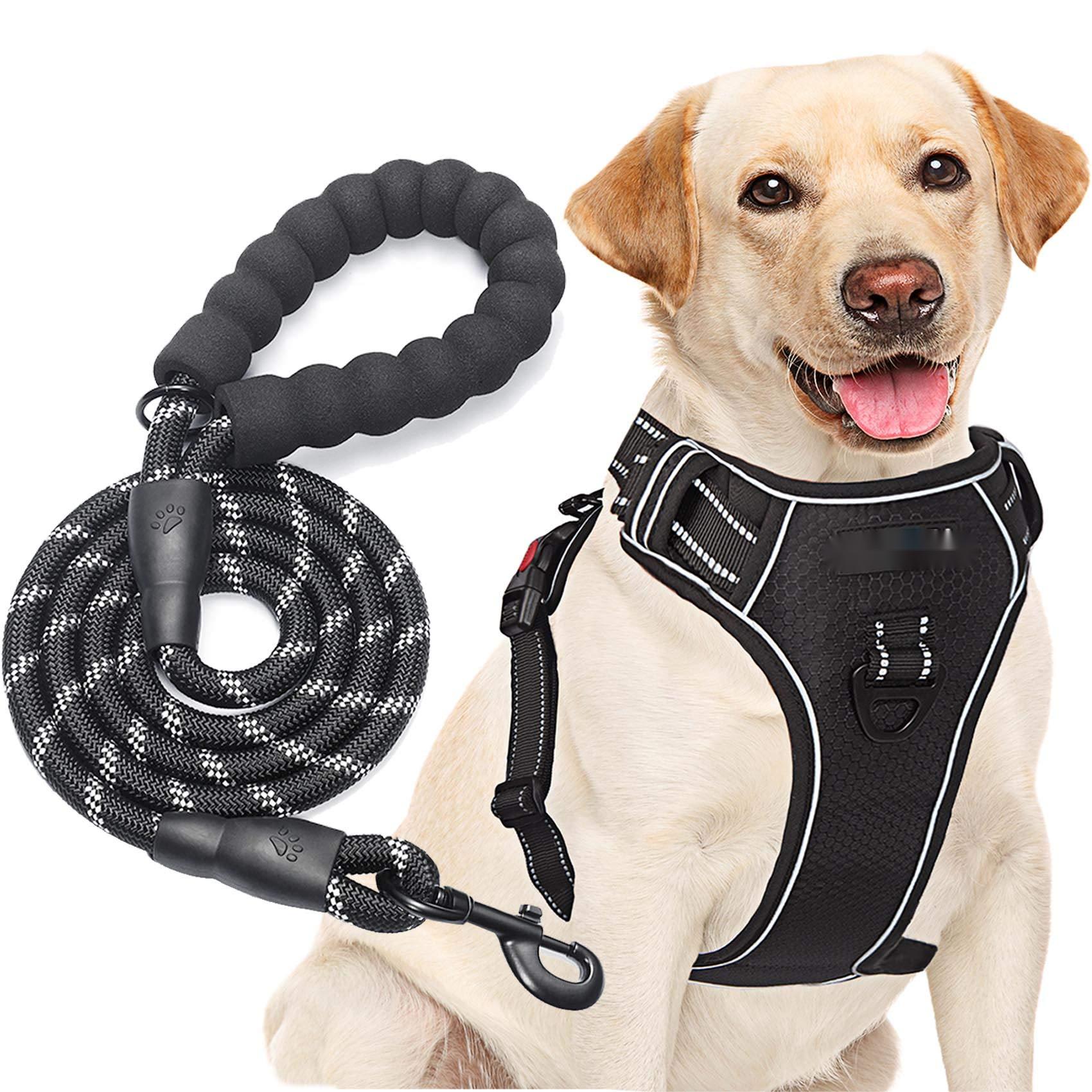 Black Reflective Harness