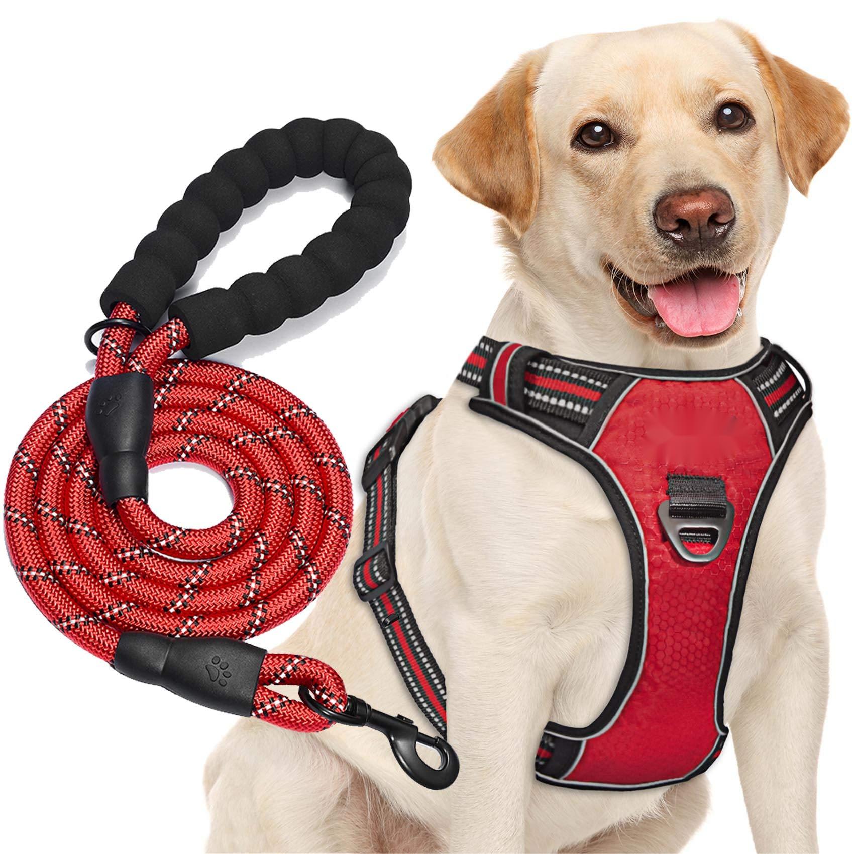 Red Reflective Harness