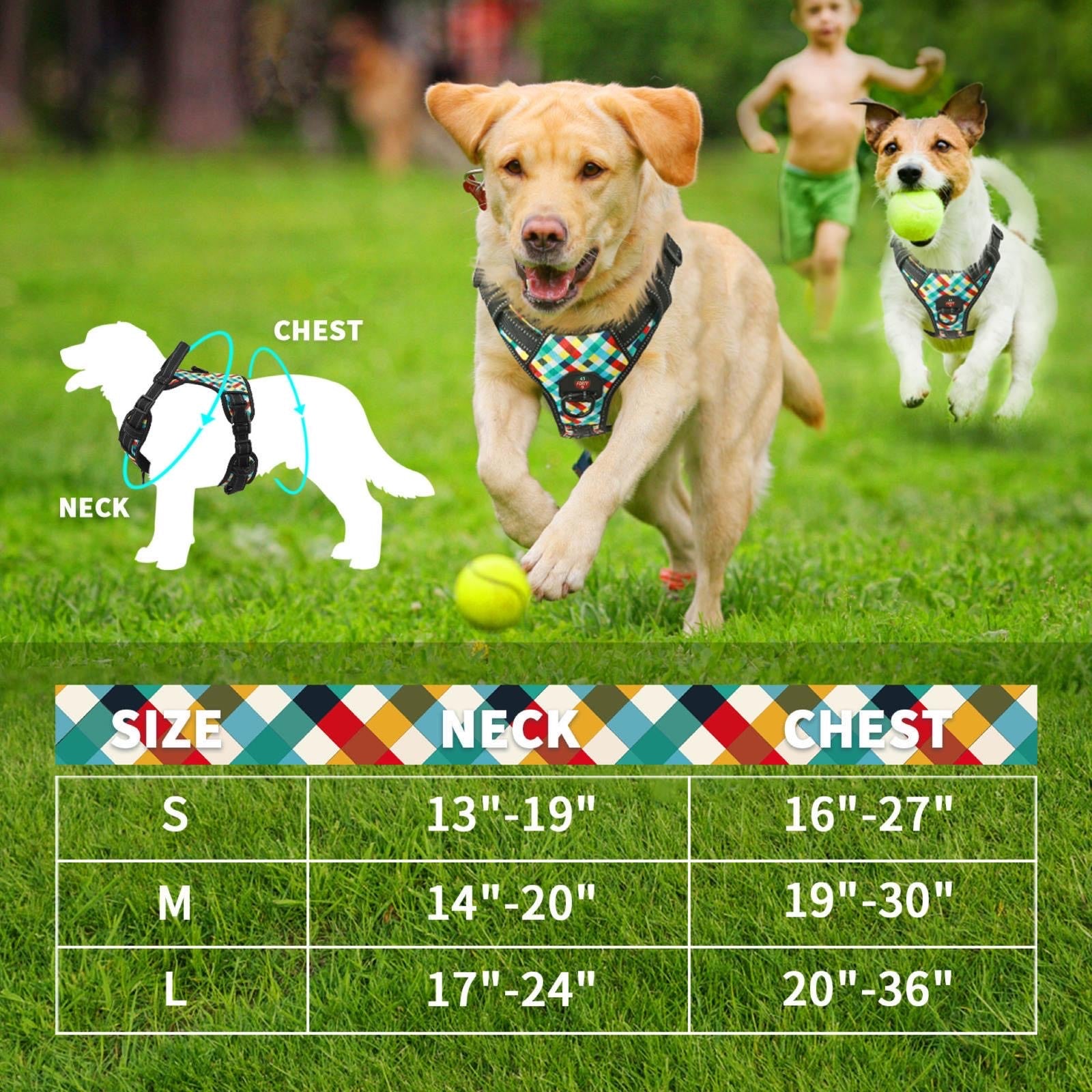 Reflective Harness- Olympic